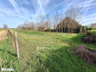 Eladó Telek, Tiszajenő