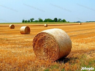 Mezőhéken kiváló minőségű föld eladó