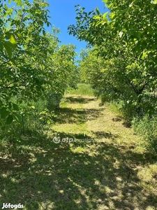 Eladó telek Szekszárdon a Benedek völgyben - Szekszárd, Tolna - Telek, föld