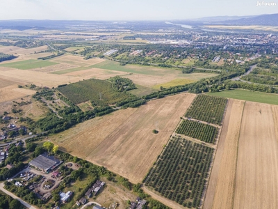 Kosd-Cselőtepusztán 10142 m2 szántó besorolású mezőgazdasági terület