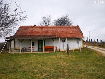 Szalaszabar szőlőhegyén 40nmes panoránás pince eladó! - Zalaszabar, Zala - Nyaralók, üdülők