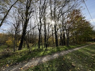 Eladó telek Szentmártonkáta