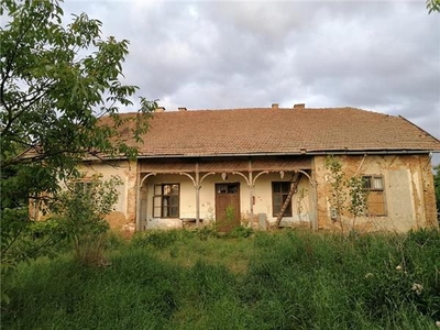 Eladó a képen látható tanya Tiborszállás közelében Halmos tanya