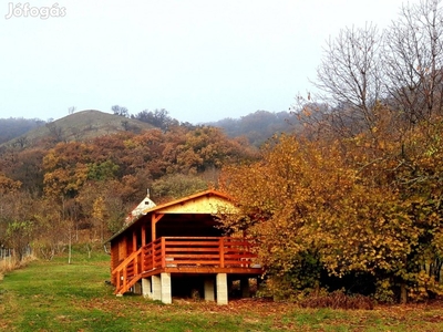 Csákberény, Orondiszőlők