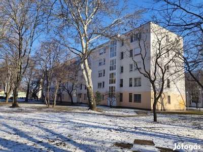 XIV. Zugló Balázs Park Egyszobás FSZT. Lakás Eladó