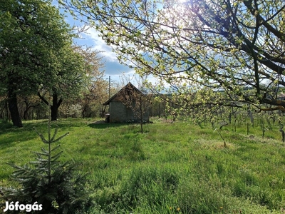 Szépen gondozott 1,1 ha birtok hétvégi házzal, gyümölcsössel, erdővel