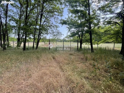 Eladó telek, Kecskemét - Hetényegyháza, Kecskemét, Bács-Kiskun - Telek, föld