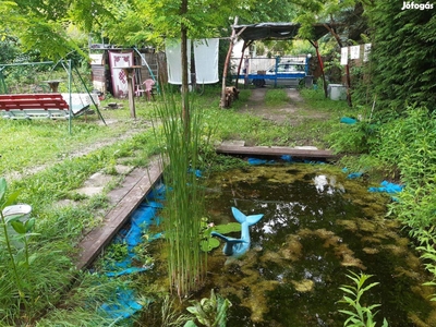 Erdőszéli Menedék A Béke Szigetén - Szigetmonostor, Pest - Nyaralók, üdülők