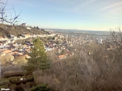 Pécs, Tettye, családi ház panorámával, nagy kerttel - Pécs, Baranya - Ház