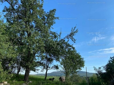 Eladó lakóövezeti telek - Vértestolna, Petőfi Sándor utca