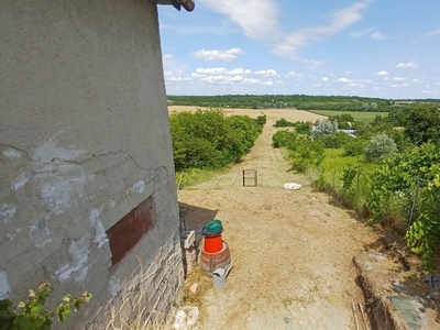 Eladó örök panorámás külterületi ingatlan! - Adony, Fejér - Nyaralók, üdülők