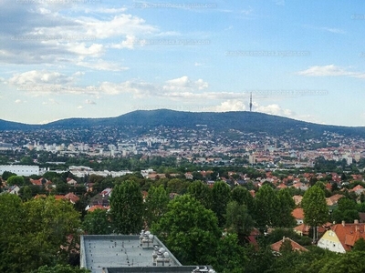 Pécs, Baranya megye
