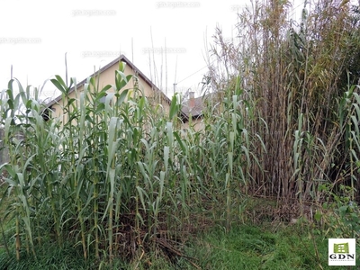 Eladó termőföld, szántó - Kóka, Pest megye