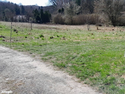 Eladó terület . faház, 30 db 3m fenyőfa - Zalaegerszeg, Zala - Telek, föld