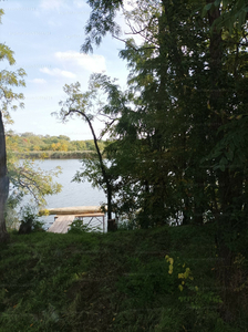 Eladó üdülőövezeti telek - Nagyrév, Holt-Tisza-part