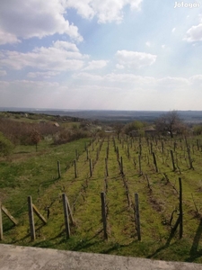 Várpalotán 4235 m2-es zártkert eladó! - Várpalota, Veszprém - Telek, föld