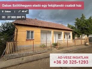 Eladó családi ház Dabas