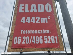 Eladó Építési telek, pincerendszerrel Tóalmáson