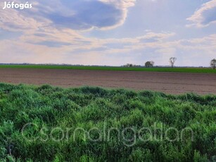 Szilsárkány - 5035 m2-es telek eladó