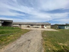 Zselicszentpál, ingatlan, mezőgazd. ingatlan, 500 m2, 26.500.000 Ft