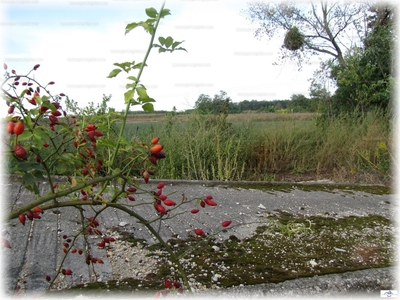 Eladó egyéb telek - Győr, Ménfőcsanak