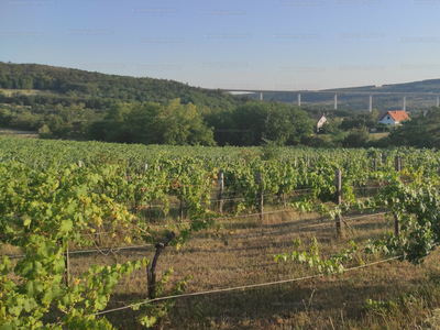 Eladó hétvégi házas nyaraló - Kőröshegy, Borochegy