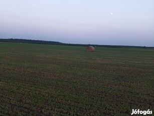 50 hektár szántó Hajdúböszörményben / 50 hectares of arable land in Ha