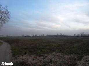 Alsónémediben 15816 m2 belterületi telek eladó