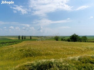 Eladó mezőgazdasági, Pázmánd Pázmánd, 8400000 Ft, 1757 nm 44_mev