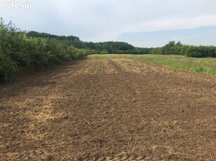 Eladó termőföld Debrecen-Pallag