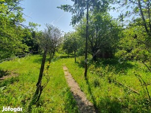 Magashegyen eladó 800 m2-es belterületi panorámás telek!