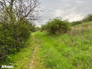 RÉSZLETFIZETÉSI LEHETŐSÉGGEL! Eladó zártkert Kaposvártól 20 km-re