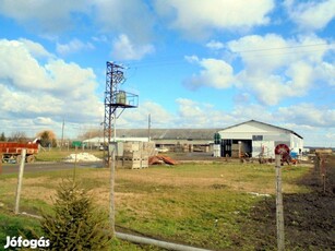 Zöldségtermelők, gyökeresek, fokhagymások! Makón telep eladó!