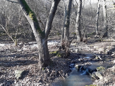 Gyöngyös, eladó telek