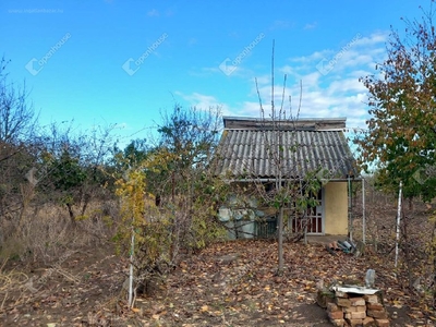 Nagykörű, ingatlan, ház, 2945 m2, 3.990.000 Ft