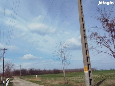 Napelem park hálózati kiserőmű!