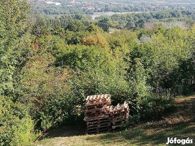 Pilismarót Basaharc A Dunakanyar Legszebb Helyén