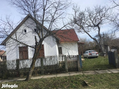 Solar Paneles ház nagy kerttel a Dráva természetvédelmi területén