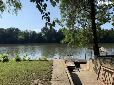 Tisza parti nagy Telek és Nyaraló