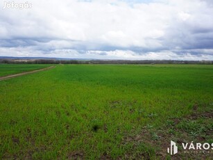 Csomád városszélén 14.000 m2-es szántó eladó!