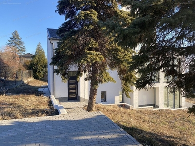 Pismány, Szentendre, ingatlan, ház, 260 m2, 160.000.000 Ft