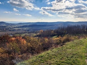 Eladó mezogazdasagi ingatlan Pécsely