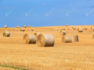 Eladó mezogazdasagi ingatlanNagyszénás