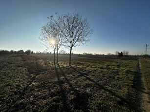 Eladó telek Balatonvilágos