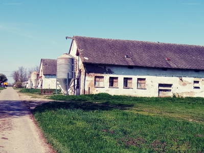 Attala, ingatlan, mezőgazd. ingatlan, 8989 m2, 179.000.000 Ft