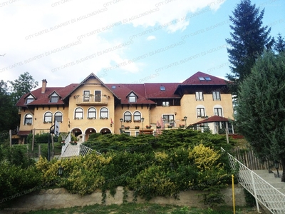 Domony, ingatlan, ház, 1653 m2, 359.000.000 Ft