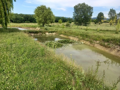 Külterület, Vértesszőlős, ingatlan, mezőgazd. ingatlan, 30 m2, 19.900.000 Ft