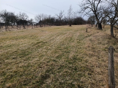 Oroszlány, ingatlan, telek, 8.000.000 Ft