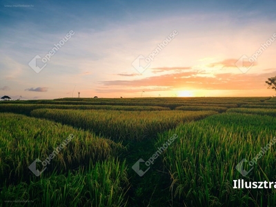 Szépasszony-völgy, Eger, ingatlan, telek, 14.900.000 Ft