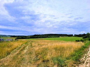 Eladó mezogazdasagi ingatlanBalatoncsicsó, Szent Balázs-hegy